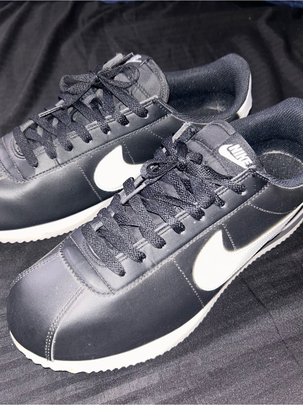 Nike Black Low-Top Sneakers with White Swoosh